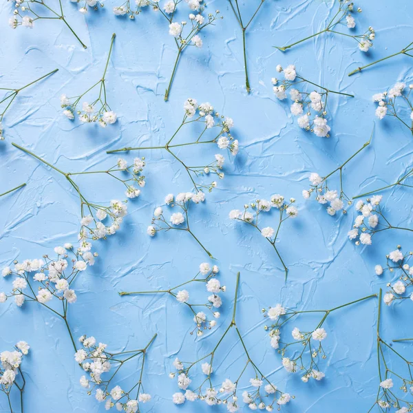 Ovanifrån Färsk Vit Gypsophila Blommor Blå Bakgrund — Stockfoto