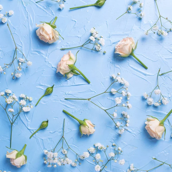 Flache Lage Mit Weißen Zigeunerblumen Und Rosen Auf Blauem Hintergrund — Stockfoto