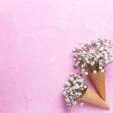 Pembe t waffle koniler Ihale taze beyaz alçı çiçek