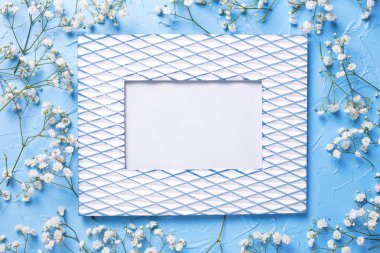 Vintage boş çerçeve ve mavi taze beyaz alçı çiçek 