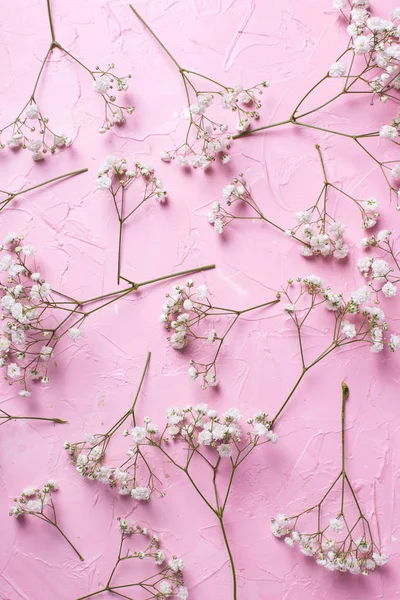 Mönster från färska vita gypsofila blommor på rosa texturerat ba — Stockfoto