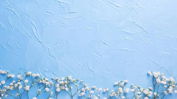 Granica z świeżych białych kwiatów gipsowych na niebieskim teksturą BAC — Zdjęcie stockowe