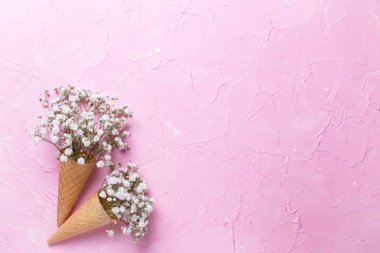 Pembe t waffle koniler Ihale taze beyaz alçı çiçek