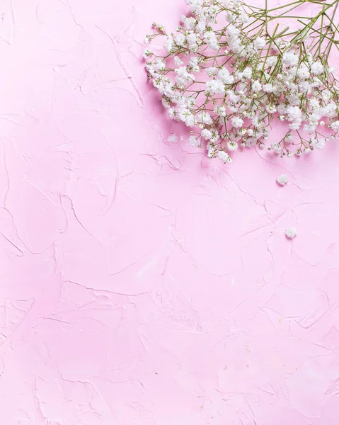 Frische weiße Gipsofila Blüten auf rosa strukturiertem Hintergrund. — Stockfoto