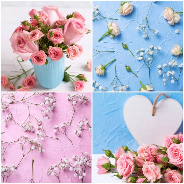 Pembe ve açık mavi co gül çiçekleri ile fotoğraflardan Kolaj — Stok fotoğraf
