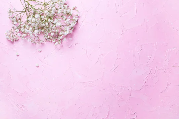 Frische weiße Gipsofila Blüten auf rosa strukturiertem Hintergrund. — Stockfoto