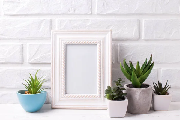 Maqueta de marco en blanco y suculentas y plantas de cactus en macetas — Foto de Stock