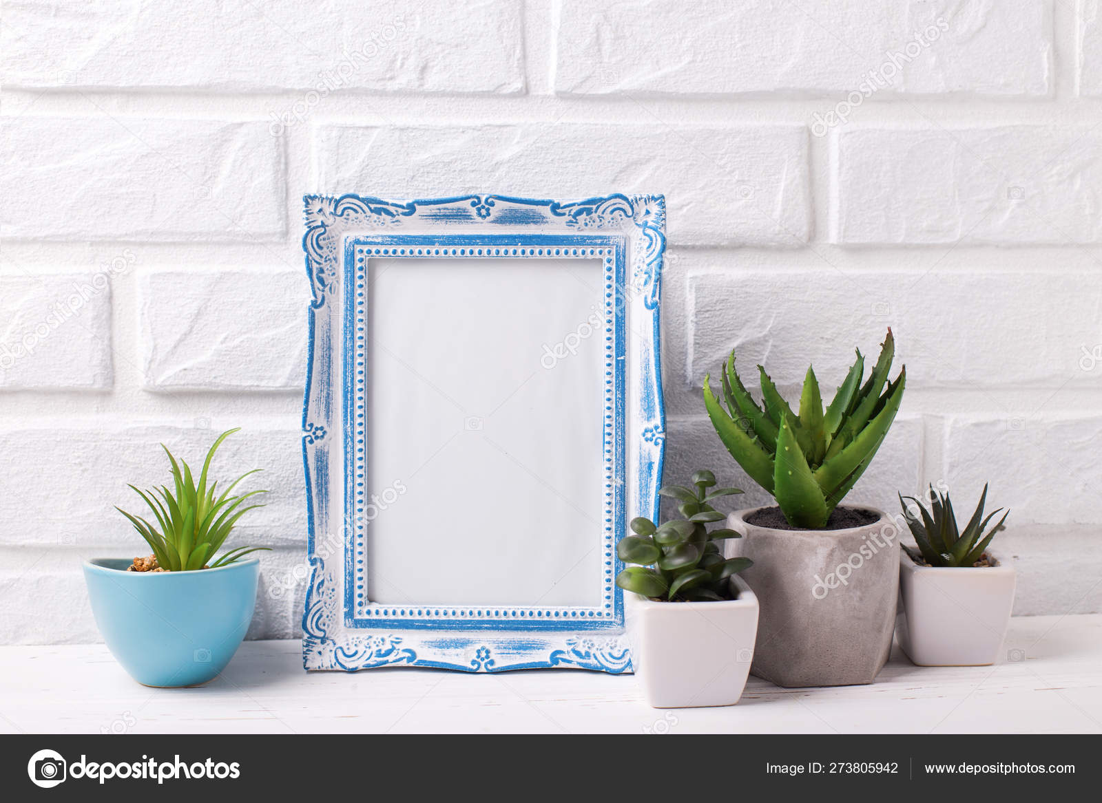 Download Blank Blue Frame Mockup And Succulents And Cactus Plants In Pots Stock Photo By C Daffodil 273805942