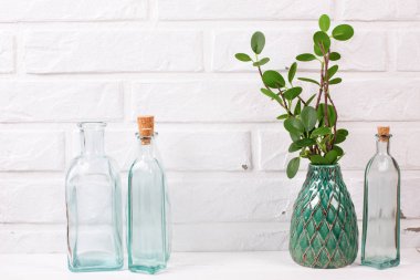 Yeşil vazo ve yakın mavi boş şişeler okaliptüs şube 