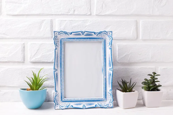 Maqueta de marco azul en blanco y suculentas y plantas de cactus en macetas — Foto de Stock