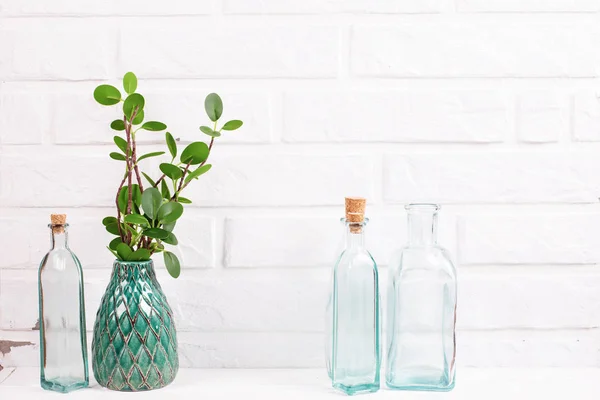 Rama de eucalipto en jarrón verde y botellas vacías azules cerca — Foto de Stock