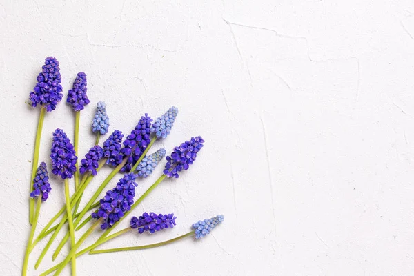 花の静物のレイアウト — ストック写真