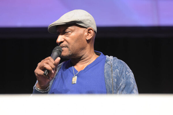 Bonn, Germany. 20th Oct 2017. Tony Todd (* 1954), US actor, talking about his experiences during a panel at Fear Con, a horror fan convention taking place in the Maritim Hotel Bonn between October 20-22nd, 2017.