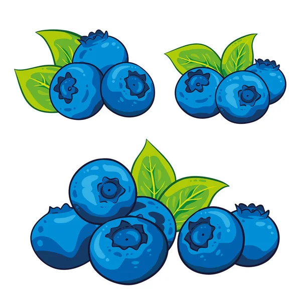 Blaubeeren Illustration Vektor Blaubeeren Mit Blättern Handgezeichnet Isoliert Auf Weißem — Stockvektor