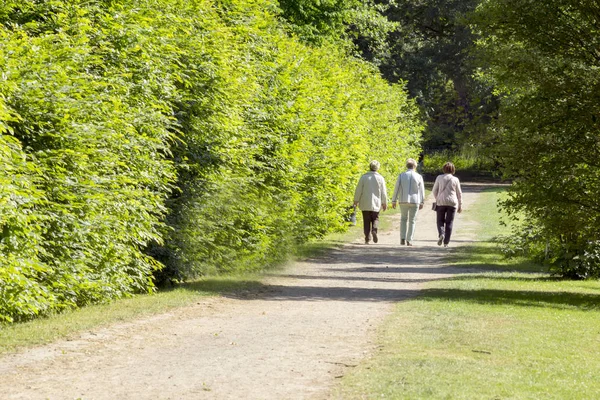 Three seniors go for a walk in the spa park, spring
