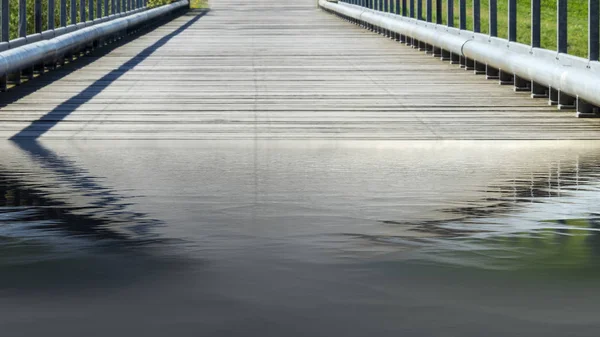 Most Přes Řeku Národní Park Labe — Stock fotografie