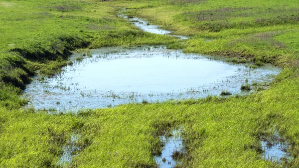 Elbe üzerinde Biotope - Elbe Üzerinde Elbtalaue Milli Parkı