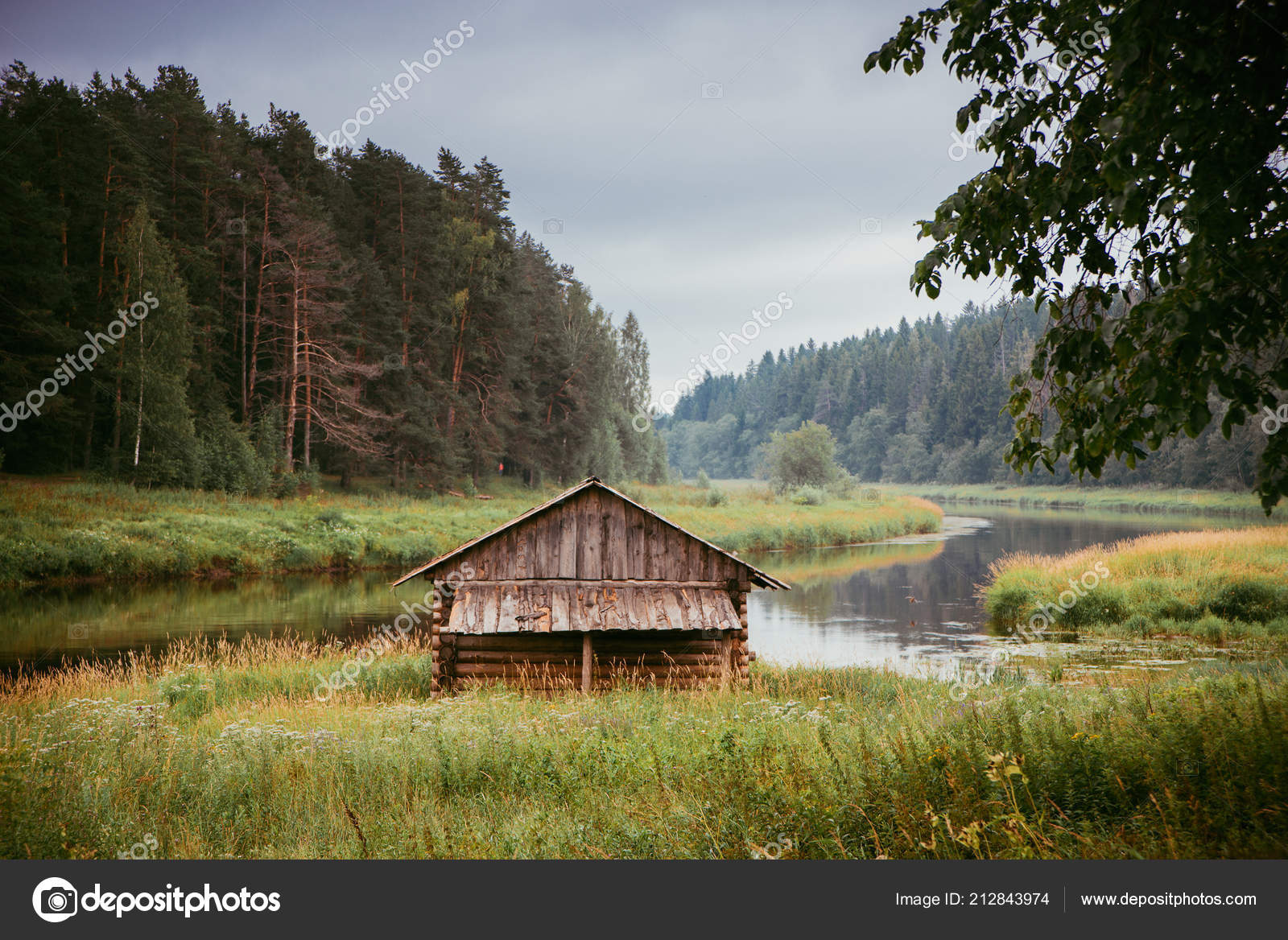Log Cabin River Bank Pines Autumn Stock Photo C Volga2019 212843974
