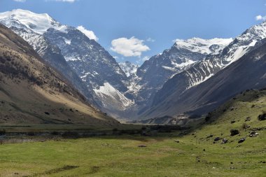 Kuzey Osetya güzel gorge yeşil vadide arka plan üzerinde karlı dağlar