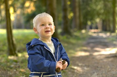 Beyaz saçlı küçük bir çocuk bir forest Park için yapılan sonbaharda yürür..