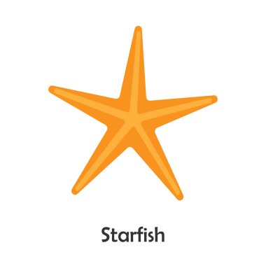 Denizyıldızı karikatür tarzı, çocuk için deniz kartı, çocuk, okul öncesi etkinlik vektör