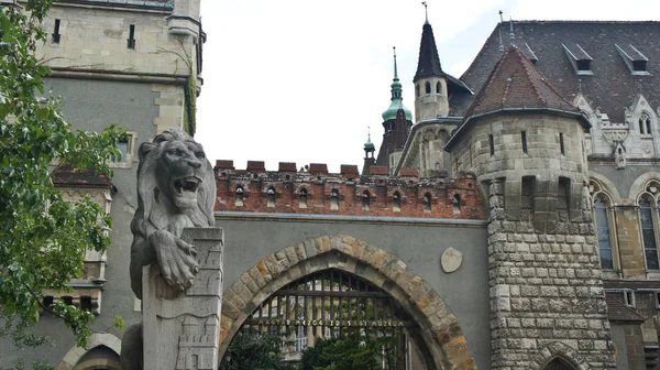 Vajdahunyad Slott Statyer Lejon Budapest Ungern — Stockfoto