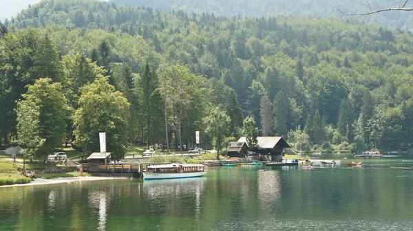 Pintoresca vista del lago Bohinj, montañas y valle de los Alpes Julianos, Eslovenia — Foto de Stock
