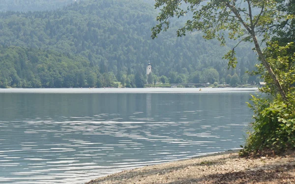 Vistas panorámicas del lago Bohinj y los Alpes Julianos, Eslovenia — Foto de Stock