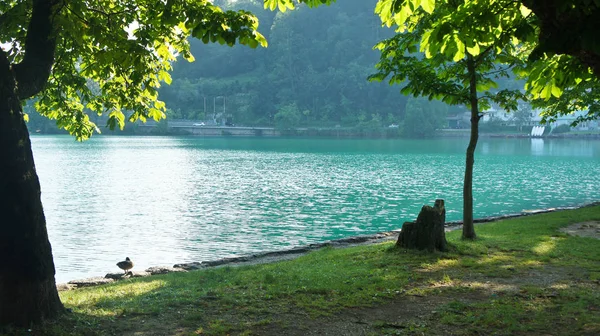 Hermosa vista del lago Bled, montañas de los Alpes Julianos, día soleado, Bled, Eslovenia — Foto de Stock