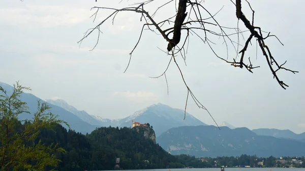Vista de Julian Alps and Bled castle, galhos de árvore, dia ensolarado, Bled, Eslovênia — Fotografia de Stock
