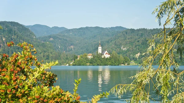 Солнечный вид на озеро Блед, Джулианские Альпы и церковь на острове, солнечный день, Блед, Словения — стоковое фото