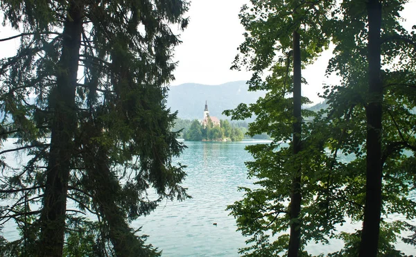 Csodálatos panoráma nyílik a Bledi-tó, a Júliai-Alpok és a templom a sziget között fák, napos, Bled, Szlovénia — Stock Fotó