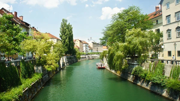 Piękny widok na rzekę Lublanica w starym mieście, gród z zielonych drzew, piękna architektura, słoneczny dzień, Lublana, Słowenia — Zdjęcie stockowe