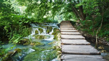 Art arda sıralı şelaleler ve ahşap yolu ve suyun, Hırvatistan, Milli Park Plitvice Gölleri