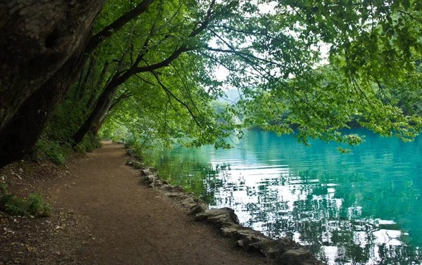 Caminho perto de água, Plitvice Lagos na Croácia, Parque Nacional — Fotografia de Stock