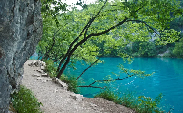 Weg zum Wasser, Plitvicer Seen in Kroatien, Nationalpark — Stockfoto