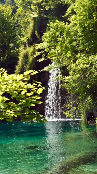 Видом на водоспад і красивою природою ландшафту, Плітвицьких озер в Хорватії, Національний парк, сонячний день з синього неба — стокове фото
