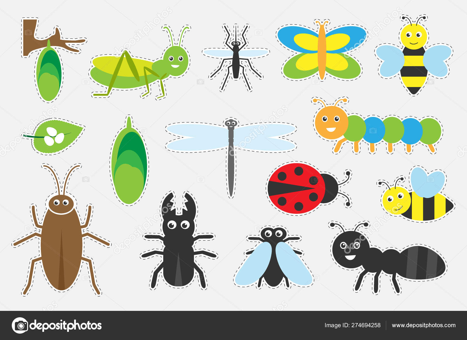 Insects For Kids Kids Matttroy