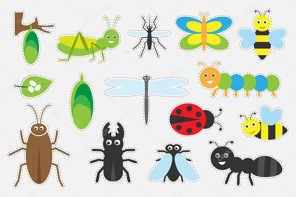 Different colorful insects pictures for children, fun education game for kids, preschool activity, set of stickers, vector illustration