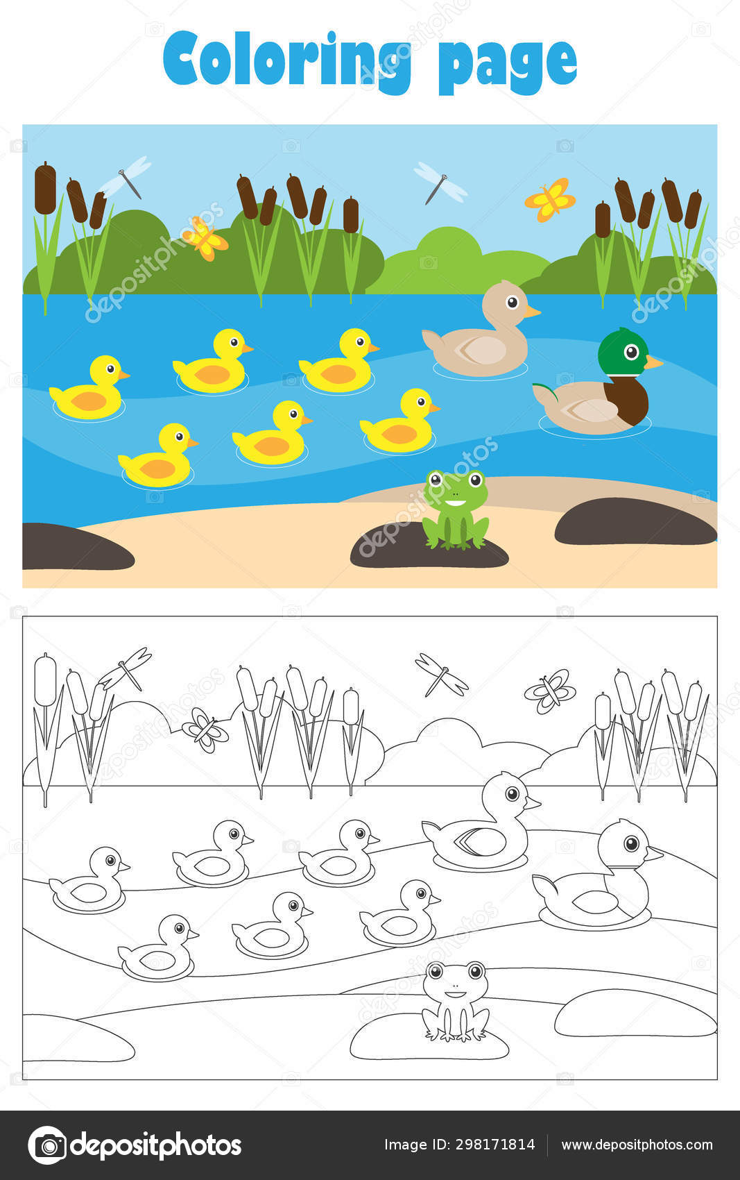 Estanque con patos, estilo de dibujos animados, página para colorear, juego  de papel educativo para el desarrollo de los niños, actividad preescolar  para niños, hoja de cálculo imprimible, ilustración vectorial Vector de, image size:1067x1700