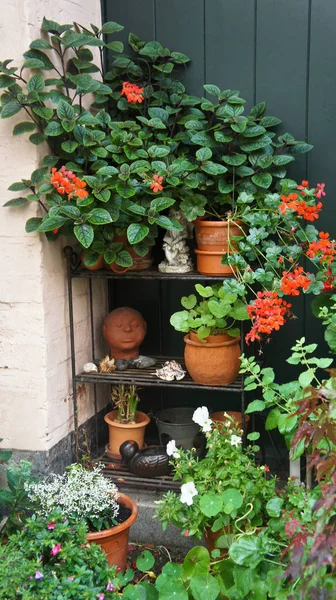 Hermoso patio acogedor con plantas y flores en la calle del casco antiguo, Lubeck, Alemania — Foto de Stock