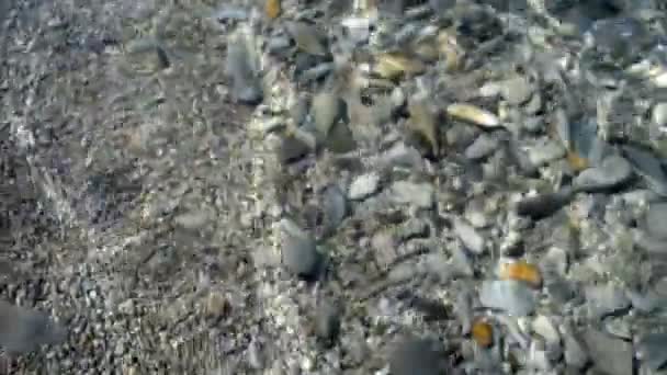 L'homme sur l'océan tient dans sa main un caillou 