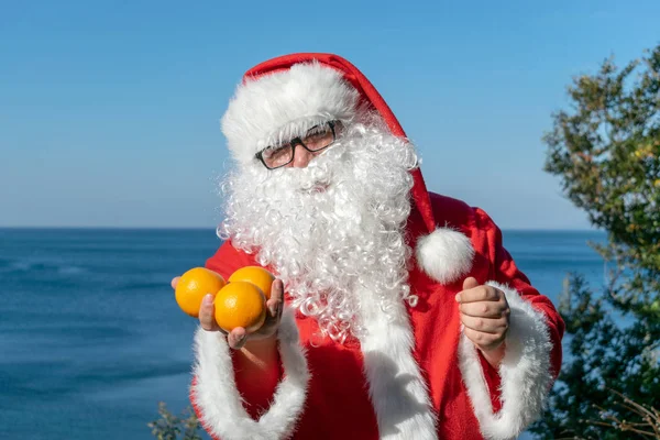 Fat Man Glasses Dressed Santa Holds Tangerines Ocean — Stock Photo, Image