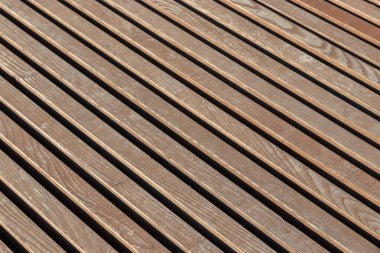 Parkta sonbahar yürüyüşü