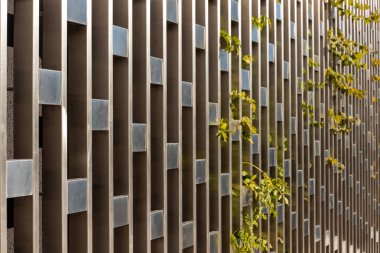 Sonbahar kadar basit. Güneşli bir gün, mavi gökyüzü ve parlak renkler