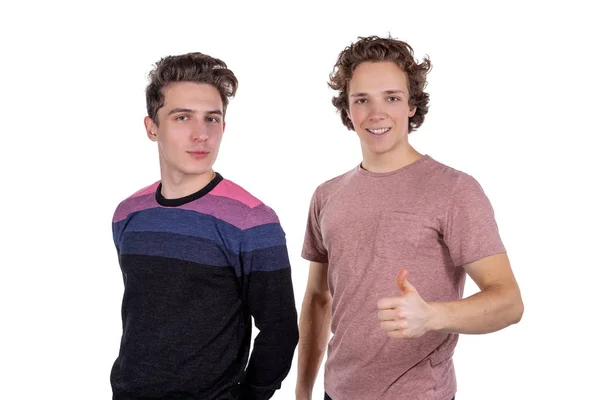 Portret Van Een Twee Vrolijke Jonge Mannen Vieren Geïsoleerd — Stockfoto