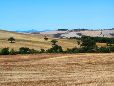 Toskana Orcia Vadisi'nin manzara     
