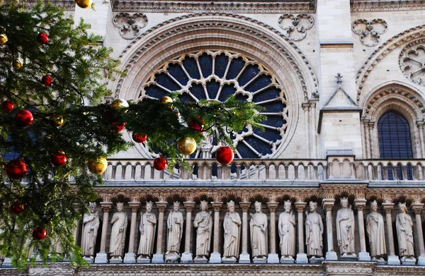 Albero Natale Notre Dame — Foto Stock