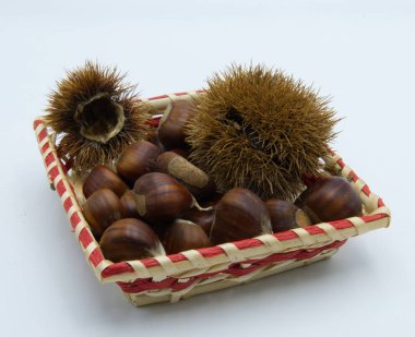 Sonbahar bir kompozisyon bir stüdyoda vurdu