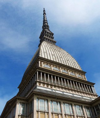 Turin köstebek